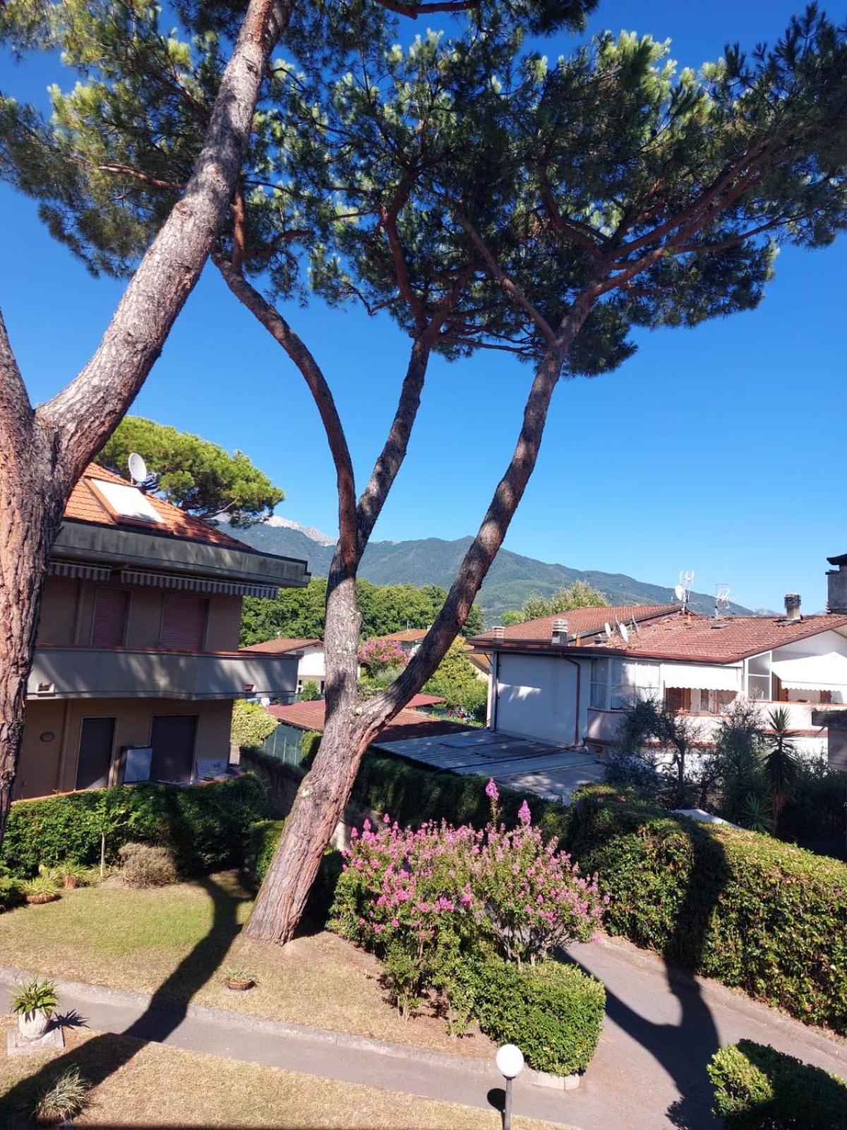 Appartamento Al Mare Di Liguria E Toscana Marina di Massa Buitenkant foto